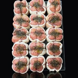 Paupiettes de Peru - Bife Peru Recheado com Salsicha e Ervas Aromáticas