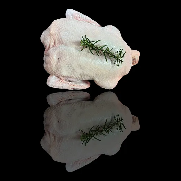 Pato Congelado - 4,98 Kg